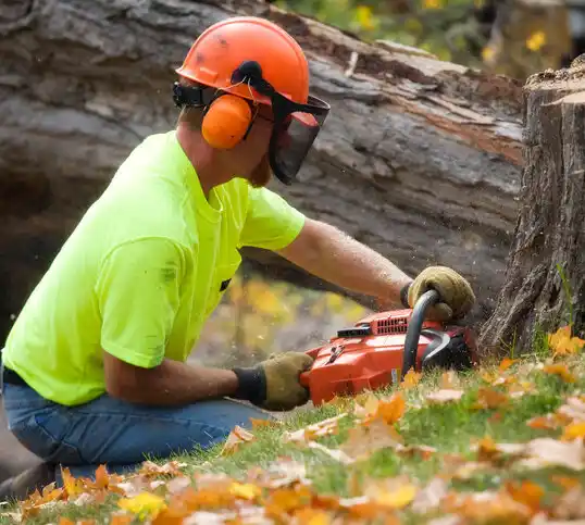 tree services Germanton